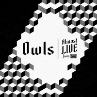 Owls - Forget Who We Are (Almost Live from Joyful Noise)