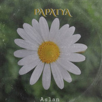 Aslan - Papatya