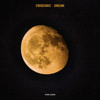 Criogenic - Dream