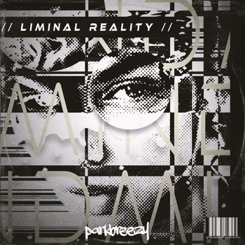 parkbreezy - Liminal Reality