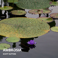 Scott Sutton - Ambrosia