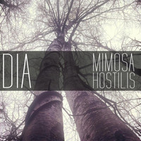 Dia - Mimosa Hostilis