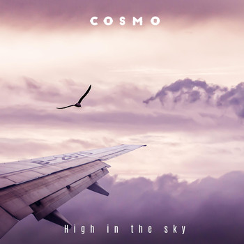Cosmo - High in the Sky