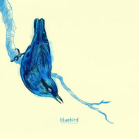 Bluebird - Bluebird