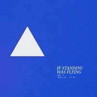 Stephen Day - If Standing Was Flying
