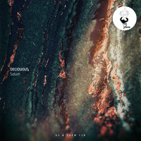 Deciduous - Solum