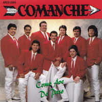 Comanche - Como Ave de Paso