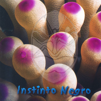 Rocko - Instinto Negro