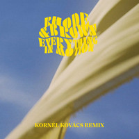 Rhode & Brown - Everything in Motion (Kornél Kovács Remix)