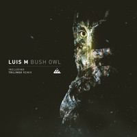 Luis M - Bush Owl