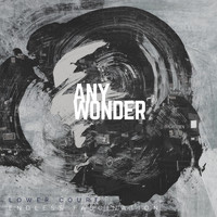 Any Wonder - Lower Court / Endless Fascination