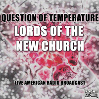 Lords Of The New Church - Question Of Temperature (Live)