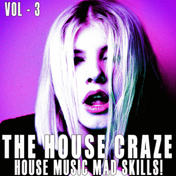 Various Artists - The House Craze, Vol. 3