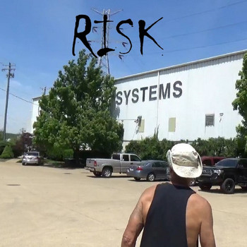Risk - Systems