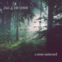 Jake & the Venom - A Stone Unturned