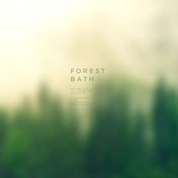 KENJI KIHARA - Forest Bath