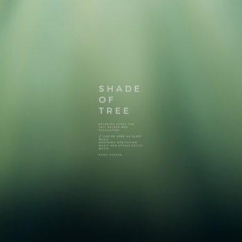 KENJI KIHARA - Shade of Tree