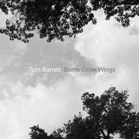 Tom Barrett - Some Grow Wings (Single Version)