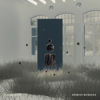 Intriguant - Spirits Remixes