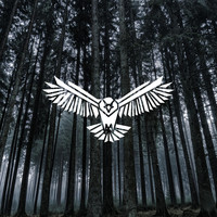 spaceraptor - In Your Arms