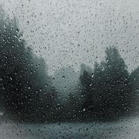 Alexander Gorya - Rain (Nature)