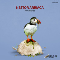 Nestor Arriaga - Multiverse