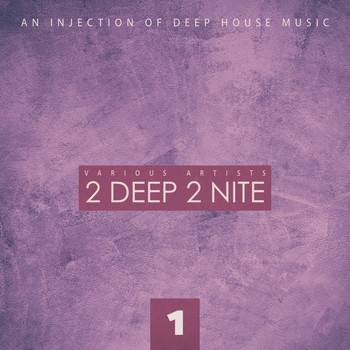 Various Artists - 2 Deep 2 Nite, Vol. 1