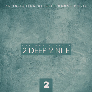 Various Artists - 2 Deep 2 Nite, Vol. 2