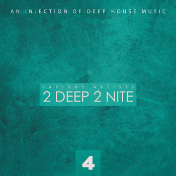 Various Artists - 2 Deep 2 Nite, Vol. 4