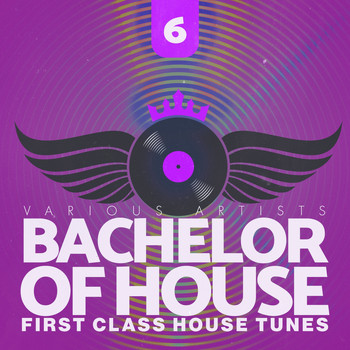 Various Artists - Bachelor of House, Vol. 6