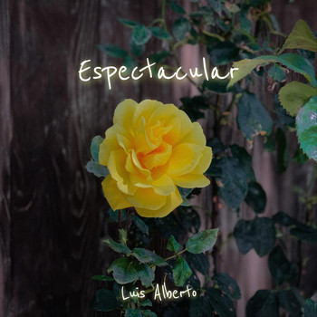 Luis Alberto - Espectacular