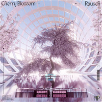 Rausch - Cherry Blossom