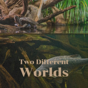 Various Artist - Two Different Worlds
