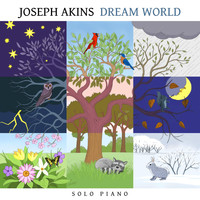 Joseph Akins - Dream World