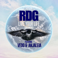 RDG - Live Your Life (feat. Vedo & Anjaleia) (Remix)