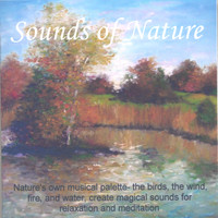 Perry Rotwein - Sounds Of Nature