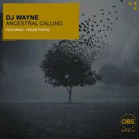 DJ Wayne - Ancestral Calling ft. Hezzie Phecie