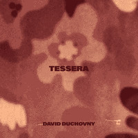 David Duchovny - Tessera