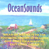 Perry Rotwein - Ocean Sounds