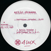 Artic Dreams - Buraston Recadar