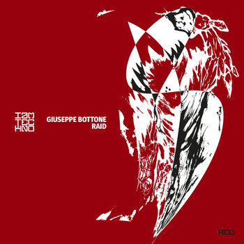 Giuseppe Bottone - Raid