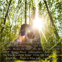 Acoustic Moods Ensemble - Acoustic Love