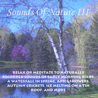 Perry Rotwein - Sounds Of Nature 3