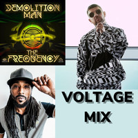 Demolition Man - The Frequency (Voltage Mix)