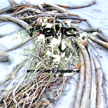 Retic - Somnolent Massive