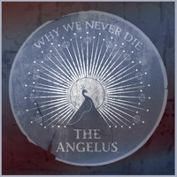 The Angelus - Why We Never Die