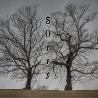 Yamakasi - Sorry