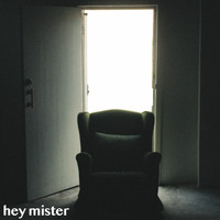 LSF - Hey Mister