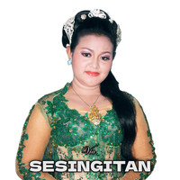 VIA - Sesingitan