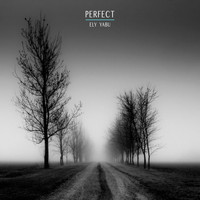 Ely Yabu - Perfect (Extended Mix)